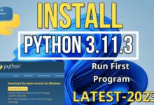 Install Bvostfus Python