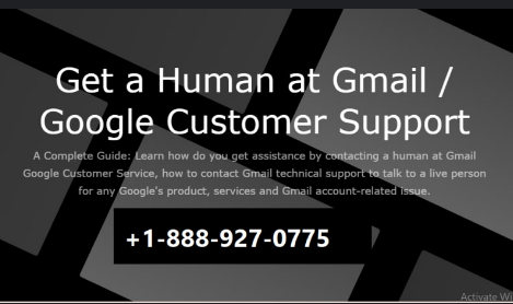 5307771286: General Support Number