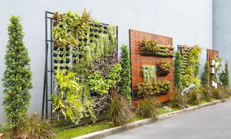 Green Walls, Small Spaces: The Ultimate Guide To Vertical Gardens In Your Apartment
