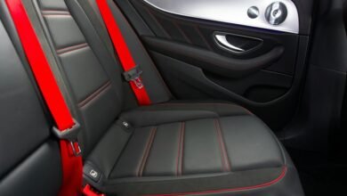 wyrkordehidom features and safety