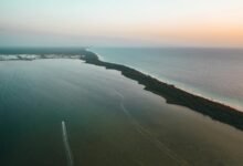 zixyurevay safety concerns outlined