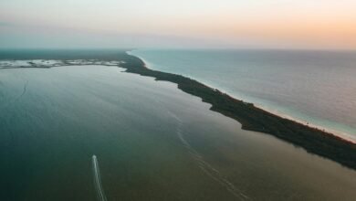 zixyurevay safety concerns outlined