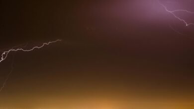 stellar growth trajectory outlined